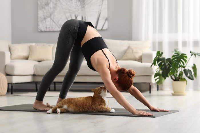 猫が筋トレやストレッチの邪魔をする4つの理由, 1.飼い主さんのそばにいたい, 2.飼い主さんの動きを観察したい, 3.飼い主さんに抗議したい, 4.道具の匂いを確認したい, 可愛いけど…ケガ防止のために注意したいこと