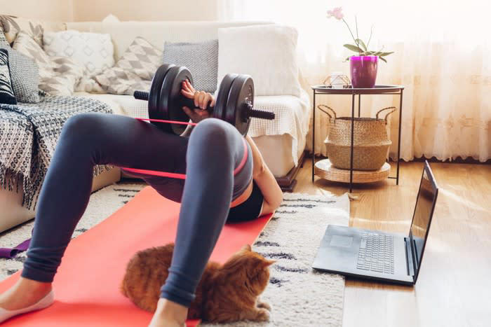 猫が筋トレやストレッチの邪魔をする4つの理由, 1.飼い主さんのそばにいたい, 2.飼い主さんの動きを観察したい, 3.飼い主さんに抗議したい, 4.道具の匂いを確認したい, 可愛いけど…ケガ防止のために注意したいこと