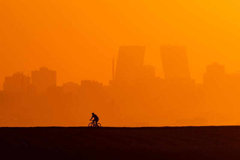 Less than a century A disaster scenario, Less than a century, A collapse of society, Seven to eight decades, A general scarcity, Unmet needs, Everyone dies, From growth to decline, The effects of a disappearance