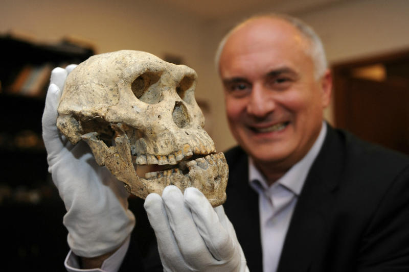 Eastern Europe New discovery, Face remains, Unknown ancestor, Oldest remains, Homo Erectus?, Eastern Europe, The link between species, Timing human entry into Western Europe, Waves of migration, Large blank periods, Norther Spain cave