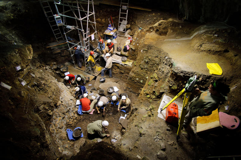 Norther Spain cave New discovery, Face remains, Unknown ancestor, Oldest remains, Homo Erectus?, Eastern Europe, The link between species, Timing human entry into Western Europe, Waves of migration, Large blank periods, Norther Spain cave