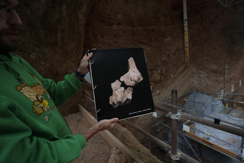 Face remains New discovery, Face remains, Unknown ancestor, Oldest remains, Homo Erectus?, Eastern Europe, The link between species, Timing human entry into Western Europe, Waves of migration, Large blank periods, Norther Spain cave