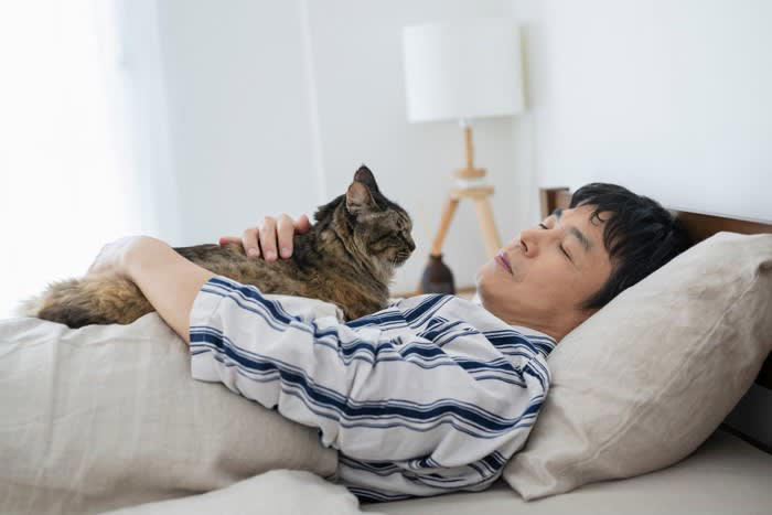 1.嫌いなニオイがしない人, 2.そばにいて安心できる人, 3.寝相のいい人, 4.いびきをかかない人