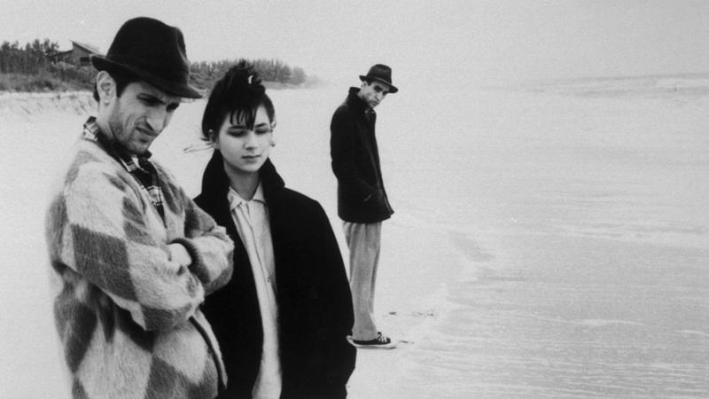 25. Moscow on the Hudson (1984), 24. Maria Full of Grace (2004), 23. Dirty Pretty Things (2002), 22. Big Night (1996), 21. Coming to America (1988), 20. A Better Life (2011), 19. The Immigrant (2014), 18. Gangs of New York (2002), 17. The Brutalist (2024), 16. Avalon (1990), 15. The Visitor (2007), 14. Stranger Than Paradise (1984), 13. In America (2002), 12. Minari (2021), 11. America, America (1963), 10. The Joy Luck Club (1993), 9. Brooklyn (2015), 8. La Promesse (1996), 7. The Secret of the Grain (2007), 6. The Namesake (2006), 5. The Godfather Part II (1974), 4. Dancer in the Dark (2000), 3. Black Girl (1966), 2. El Norte (1983), 1. Ali: Fear Eats the Soul (1974)