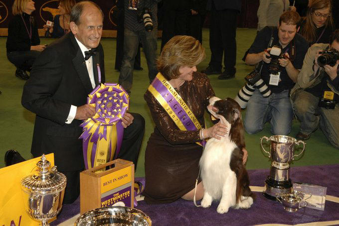 Wire fox terrier, Scottish terrier, English springer spaniel, Standard poodle, Pekingese, Airedale terrier, American cocker spaniel, Doberman Pinscher, Smooth fox terrier, Sealyham terrier, About the expert, Why trust us, Sources: