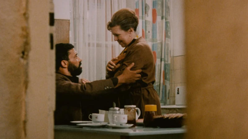 25. Moscow on the Hudson (1984), 24. Maria Full of Grace (2004), 23. Dirty Pretty Things (2002), 22. Big Night (1996), 21. Coming to America (1988), 20. A Better Life (2011), 19. The Immigrant (2014), 18. Gangs of New York (2002), 17. The Brutalist (2024), 16. Avalon (1990), 15. The Visitor (2007), 14. Stranger Than Paradise (1984), 13. In America (2002), 12. Minari (2021), 11. America, America (1963), 10. The Joy Luck Club (1993), 9. Brooklyn (2015), 8. La Promesse (1996), 7. The Secret of the Grain (2007), 6. The Namesake (2006), 5. The Godfather Part II (1974), 4. Dancer in the Dark (2000), 3. Black Girl (1966), 2. El Norte (1983), 1. Ali: Fear Eats the Soul (1974)