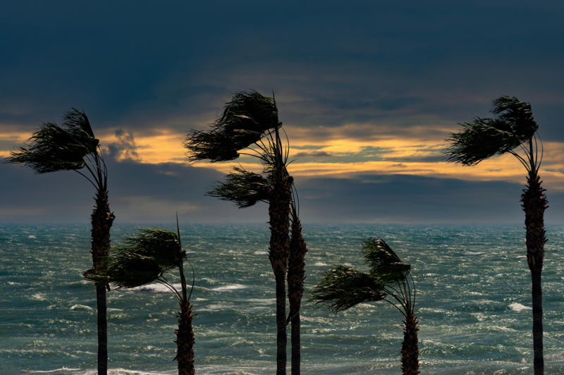 Weather change The rare roll cloud, Cloud species, A solitary cloud, Rough and rolling, Weather change, A cloud blanket, Thunderstorm downdraft, What makes it happen?, Coastal breeze, Is it dangerous?, Global warming, The "Morning Glory", Around the world