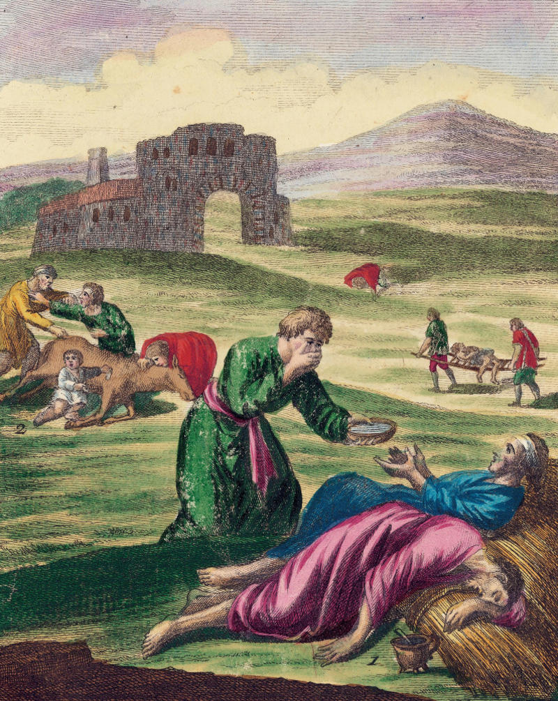 What was the Black Death?, Black rat, Outbreak, Spread to Italy, The Black Death arrives in France, Iberia infected, The plague visits the Holy Roman Empire, Germany infected, The plague and pogroms, Scandinavia succumbs, The bacterium spreads beyond Europe, Suffering the Black Death, Crude treatments, Burying the dead, Aftermath, Digging up the past