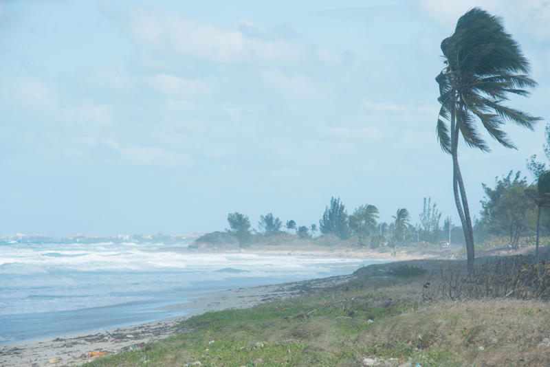 Coastal breeze The rare roll cloud, Cloud species, A solitary cloud, Rough and rolling, Weather change, A cloud blanket, Thunderstorm downdraft, What makes it happen?, Coastal breeze, Is it dangerous?, Global warming, The "Morning Glory", Around the world