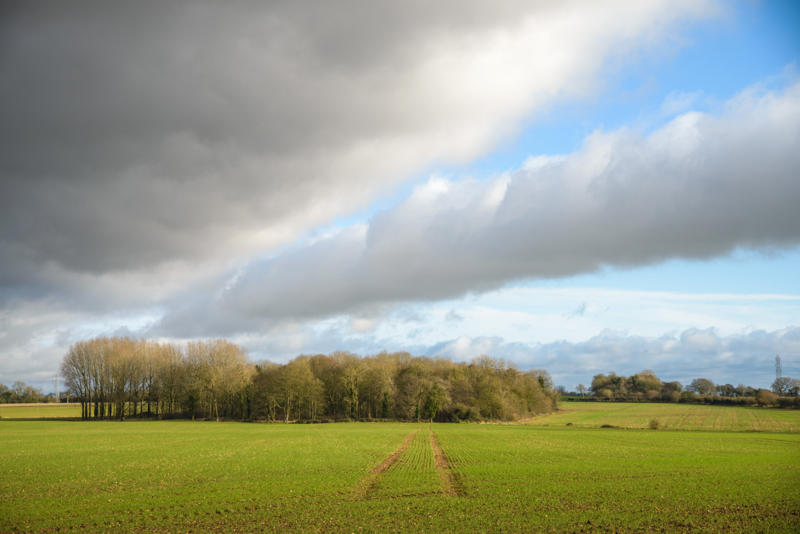 Global warming The rare roll cloud, Cloud species, A solitary cloud, Rough and rolling, Weather change, A cloud blanket, Thunderstorm downdraft, What makes it happen?, Coastal breeze, Is it dangerous?, Global warming, The "Morning Glory", Around the world