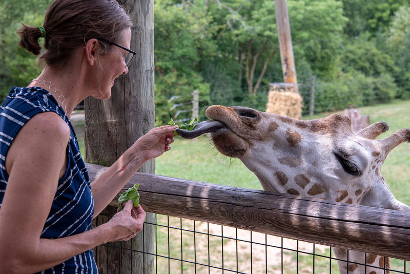 What to know about the Columbian Park Zoo, How much is it to get into Columbian Park zoo?, What to know about the Indianapolis Zoo, What to know about the Potawatomi Zoo, How much are tickets to the Potawatomi Zoo?, What to know about the Fort Wayne Children's Zoo, What to know about the Mesker Park Zoo & Botanic Garden, How much is it to get into Mesker Park Zoo?, What to know about Washington Park Zoo