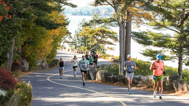 Races in the Northern U.S., Races in the Eastern U.S., Races in the Southern U.S., Races in the Western U.S., International Races