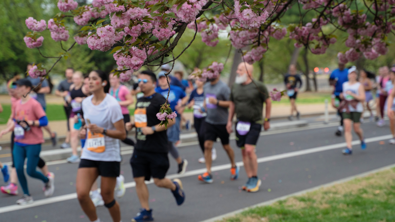 Races in the Northern U.S., Races in the Eastern U.S., Races in the Southern U.S., Races in the Western U.S., International Races