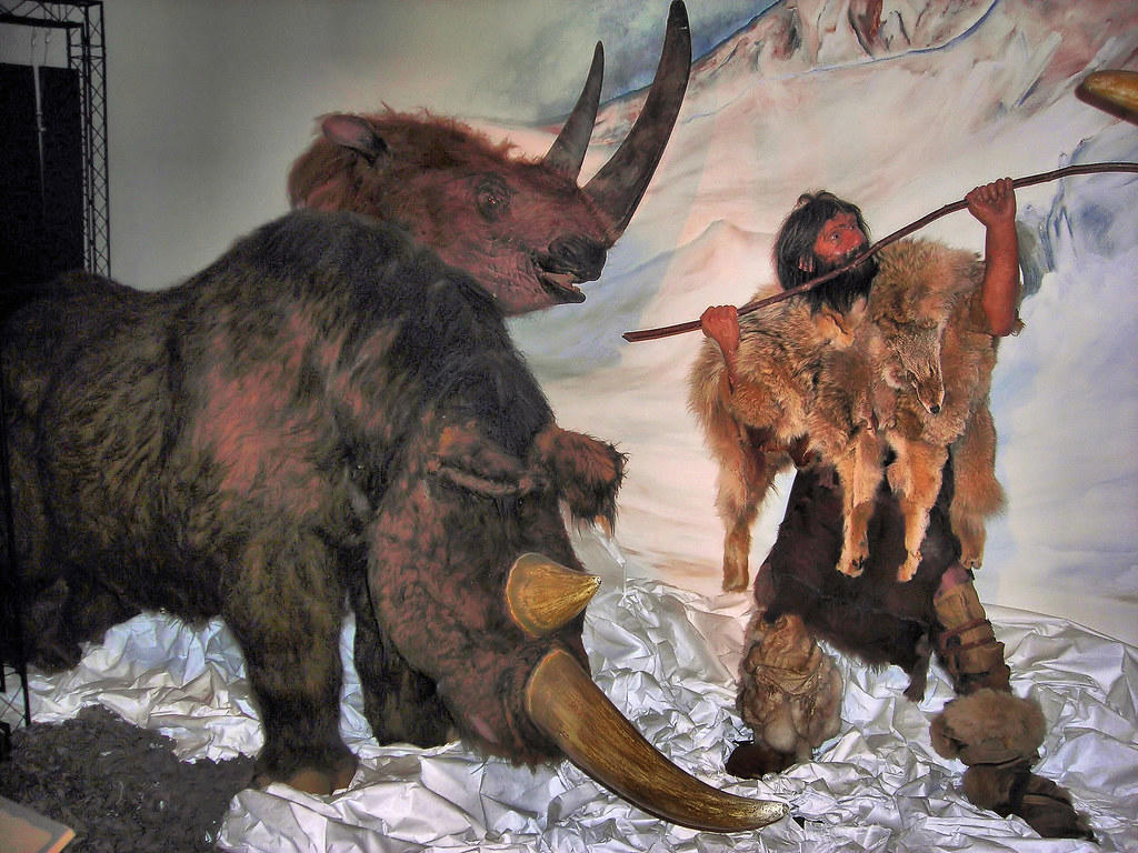 Woolly Rhino or Mythical Beast? The Strange Truth Behind a 1663 Fossil Hoax The Mysterious Discovery in Quedlinburg Cave, Otto von Guericke and the Scientific Climate of 1663, The Reconstruction That Fooled Europe, Gottfried Leibniz and the Scholarly Debate, The Real Identity: Woolly Rhinoceros Revealed, How the Hoax Was Constructed, The Role of Medieval Unicorn Legends, Scientific Methods of the 17th Century, The Woolly Rhino's True Habitat and Behavior, Impact on Early Paleontology, When the Truth Finally Emerged, Similar Cases of Mistaken Fossil Identity, The Psychology Behind the Hoax, Modern Forensic Analysis of the Evidence, Legacy in Scientific History, What We've Learned About Woolly Rhinos, The Broader Impact on Natural History