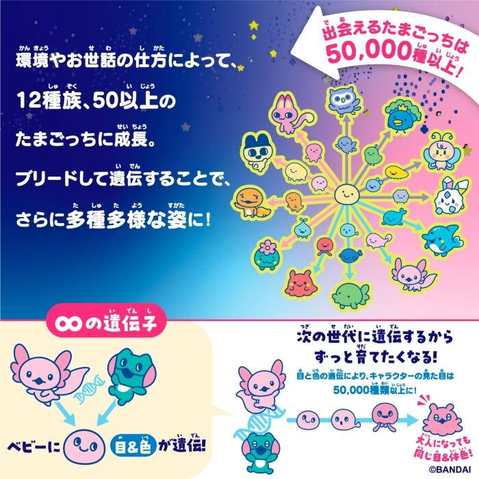 開封して操作方法をチェック, 「ズームダイヤル」で4段階に切り替え それぞれのシーンでお世話が変わる, DAY1：ベーシックなお世話から始める, DAY2〜4：とにかくお世話をする “ミニゲーム”や“ゆうぐ”、“エッグハント”にトライ, DAY5：“ツーしん”でブリードに挑戦！, DAY6〜：“トラベル”や“フィールドきりかえ”、ラボアプリを活用