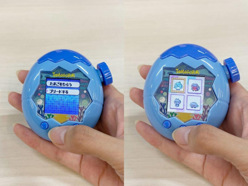 開封して操作方法をチェック, 「ズームダイヤル」で4段階に切り替え それぞれのシーンでお世話が変わる, DAY1：ベーシックなお世話から始める, DAY2〜4：とにかくお世話をする “ミニゲーム”や“ゆうぐ”、“エッグハント”にトライ, DAY5：“ツーしん”でブリードに挑戦！, DAY6〜：“トラベル”や“フィールドきりかえ”、ラボアプリを活用