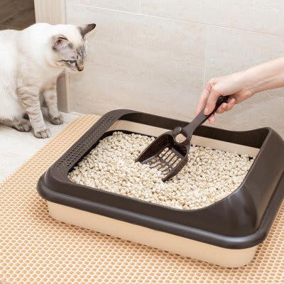 1.きれいになったか確認している, 2.「荒らさないでほしい」と思って見ている, 3.掃除している様子が気になる, 4.使いたくて待っている