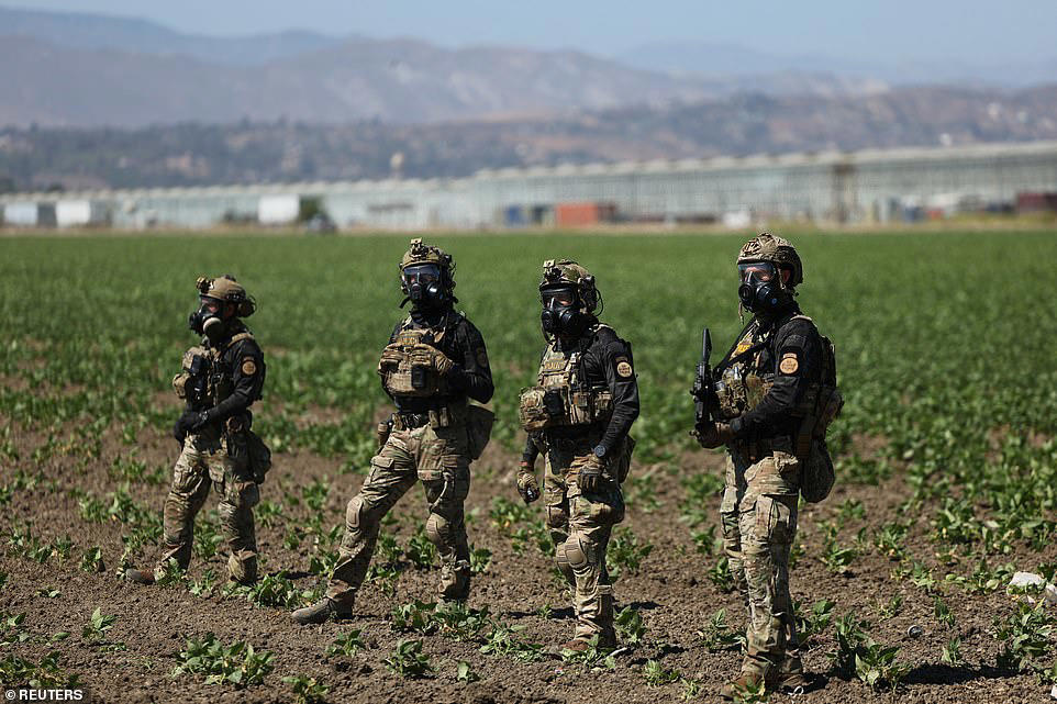 ICE protester opens fire on agents in clash at California farm