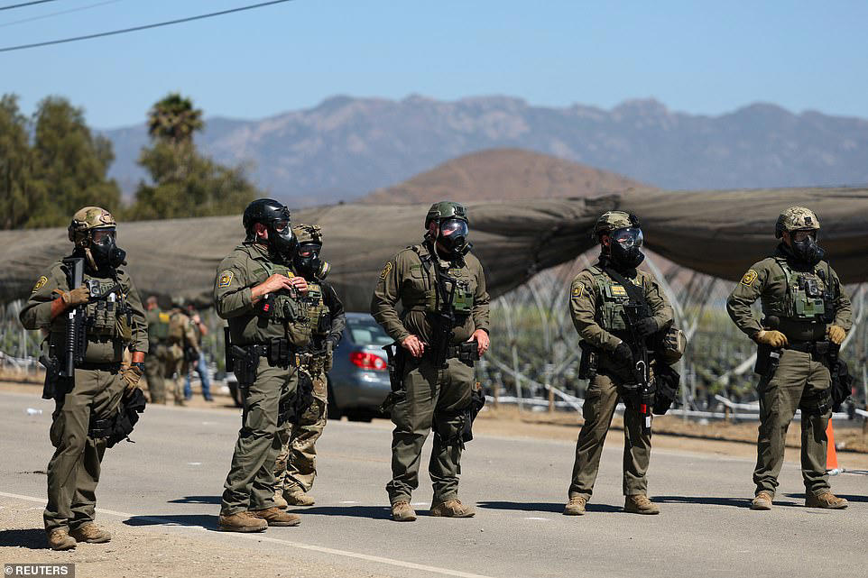 ICE protester opens fire on agents in clash at California farm