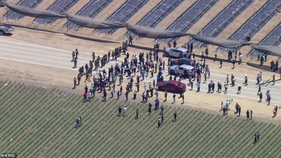 ICE protester opens fire on agents in clash at California farm