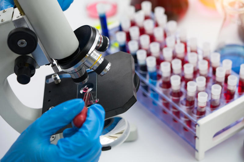The Synthetic Human Genome Project, Controversial, Ethical concerns, UK-based research and funding, The benefits outweighed the risks, Human Genome Project, Reading, but not writing, Developing the methods, Genetic therapies, Curing almost any disease