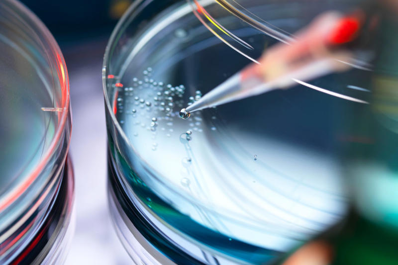 The Synthetic Human Genome Project, Controversial, Ethical concerns, UK-based research and funding, The benefits outweighed the risks, Human Genome Project, Reading, but not writing, Developing the methods, Genetic therapies, Curing almost any disease