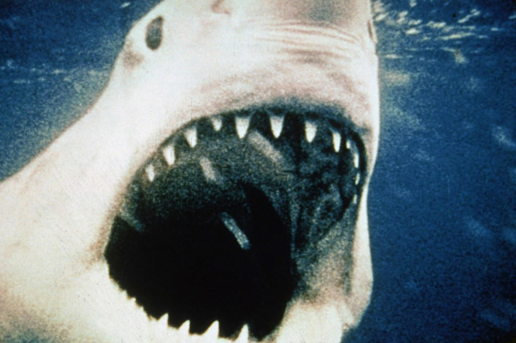 Every film in iconic horror series hailed ‘a cinematic masterpiece’ coming to Netflix