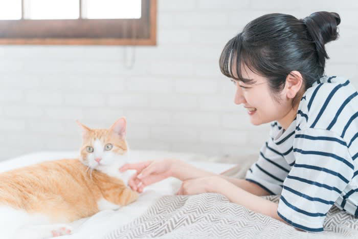 猫の褒め方1.ささやくように褒める, 猫の褒め方2.おやつをあげる, 猫の叱り方1.叱るときは天罰方式で, 猫の叱り方2.短い言葉ですぐに叱る