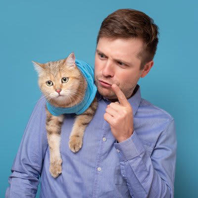 猫の褒め方1.ささやくように褒める, 猫の褒め方2.おやつをあげる, 猫の叱り方1.叱るときは天罰方式で, 猫の叱り方2.短い言葉ですぐに叱る