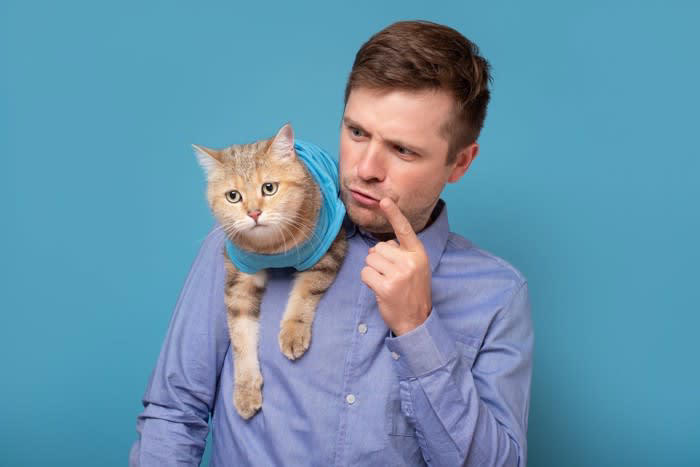 猫の褒め方1.ささやくように褒める, 猫の褒め方2.おやつをあげる, 猫の叱り方1.叱るときは天罰方式で, 猫の叱り方2.短い言葉ですぐに叱る