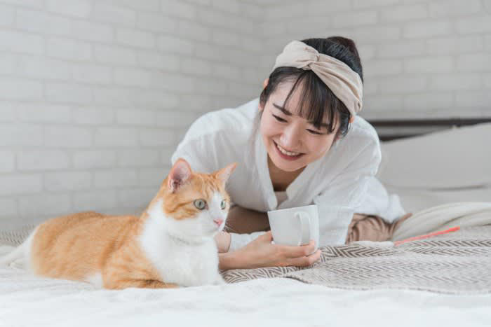 1.特定の単語に反応する, 2.音のトーンや抑揚に反応する, 3.目線や視線で理解を示す, 4.しっぽや耳の動きで理解を示す, 5.行動で理解を示す, 6.ルーティンや文脈から理解を示す