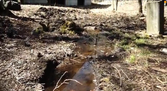 憧れの別荘ライフが一転、想定外の異変が発生, 湧き水は利根川に合流, 「ここで滞らせるわけにはいかない」湧き水との闘い, 生まれ変わった庭と進化する別荘ライフ