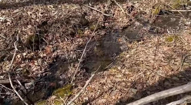 憧れの別荘ライフが一転、想定外の異変が発生, 湧き水は利根川に合流, 「ここで滞らせるわけにはいかない」湧き水との闘い, 生まれ変わった庭と進化する別荘ライフ