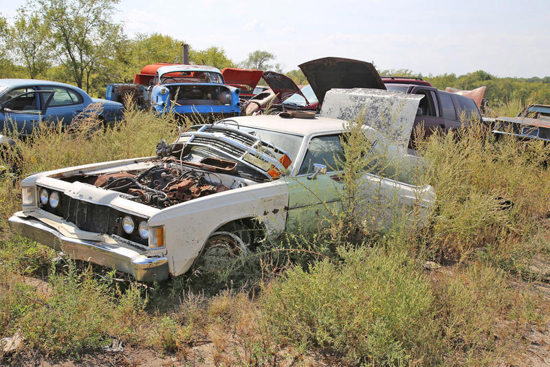 FORD GALAXIE 500 - 1973 MERCURY CUSTOM - 1953, ALFA ROMEO GIULIETTA SPIDER, RENAULT ALLIANCE CONVERTIBLE, PONTIAC - 1934, TOYOTA COROLLA - SR5, OLDSMOBILE VISTA CRUISER - 1974, CHEVROLET SEDAN DELIVERY, OLDSMOBILE 88 - 1956, MORRIS MINOR, CHEVROLET BEL AIR - 1959, PLYMOUTH SPECIAL DELUXE - 1949, CHEVROLET EL CAMINO - 1975, PONTIAC BONNEVILLE CONVERTIBLE - 1964, PONTIAC CATALINA - 1968, CHEVROLET - 1964, DODGE WAYFARER - 1950, BUICK RIVIERA, CADILLAC ELDORADO - 1977, FORD THUNDERBIRD - 1996, CHEVROLET MASTER DELUXE - 1939, CHEVROLET 210 - 1956, DODGE - 1937, AMGENERAL JEEP DJ - 1975, BUICK SPECIAL - 1939, CHEVROLET VEGA KAMMBACK, FORD - 1956, DODGE RV - 1974, FORD GALAXIE - 1957, CHEVROLET IMPALA - 1961, NASH AMBASSADOR - 1939, FORD COURIER - 1955, CHRYSLER NEWPORT - 1966, FORD THUNDERBIRD - 1963, CHEVROLET CORVETTE - C4, FORD GALAXIE 500 - 1973, CHRYSLER WINDSOR - 1959, INTERNATIONAL SCOUT, FORD GALAXIE - 1959, OLDSMOBILE 88 - 1968, CHRYSLER LEBARON - 1979, THE YARD