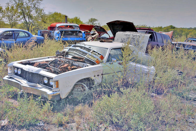 We’re back in Windy Hill Auto Parts for our second and final visit to what is undoubtedly one of the US’s last great salvage yards. MERCURY CUSTOM - 1953, ALFA ROMEO GIULIETTA SPIDER, RENAULT ALLIANCE CONVERTIBLE, PONTIAC - 1934, TOYOTA COROLLA - SR5, OLDSMOBILE VISTA CRUISER - 1974, CHEVROLET SEDAN DELIVERY, OLDSMOBILE 88 - 1956, MORRIS MINOR, CHEVROLET BEL AIR - 1959, PLYMOUTH SPECIAL DELUXE - 1949, CHEVROLET EL CAMINO - 1975, PONTIAC BONNEVILLE CONVERTIBLE - 1964, PONTIAC CATALINA - 1968, CHEVROLET - 1964, DODGE WAYFARER - 1950, BUICK RIVIERA, CADILLAC ELDORADO - 1977, FORD THUNDERBIRD - 1996, CHEVROLET MASTER DELUXE - 1939, CHEVROLET 210 - 1956, DODGE - 1937, AMGENERAL JEEP DJ - 1975, BUICK SPECIAL - 1939, CHEVROLET VEGA KAMMBACK, FORD - 1956, DODGE RV - 1974, FORD GALAXIE - 1957, CHEVROLET IMPALA - 1961, NASH AMBASSADOR - 1939, FORD COURIER - 1955, CHRYSLER NEWPORT - 1966, FORD THUNDERBIRD - 1963, CHEVROLET CORVETTE - C4, FORD GALAXIE 500 - 1973, CHRYSLER WINDSOR - 1959, INTERNATIONAL SCOUT, FORD GALAXIE - 1959, OLDSMOBILE 88 - 1968, CHRYSLER LEBARON - 1979, THE YARD