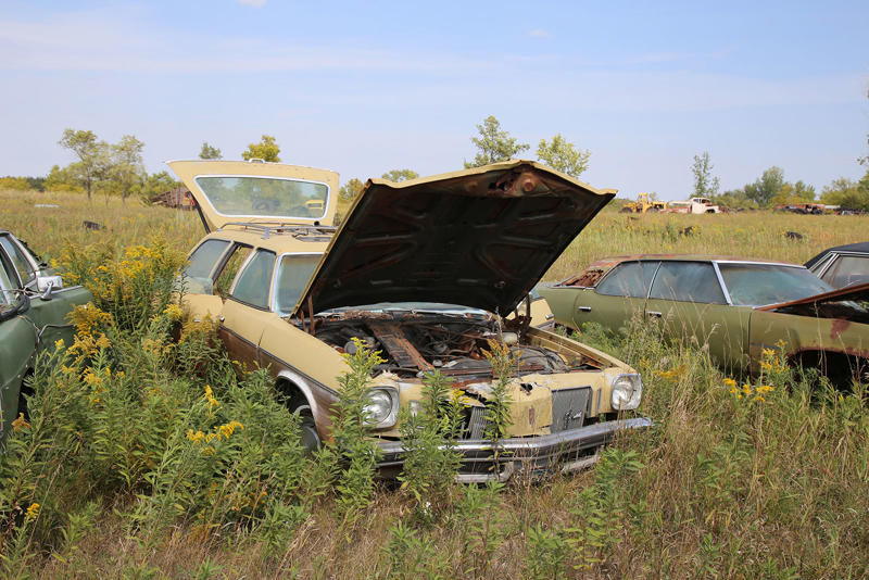 OLDSMOBILE VISTA CRUISER - 1974 MERCURY CUSTOM - 1953, ALFA ROMEO GIULIETTA SPIDER, RENAULT ALLIANCE CONVERTIBLE, PONTIAC - 1934, TOYOTA COROLLA - SR5, OLDSMOBILE VISTA CRUISER - 1974, CHEVROLET SEDAN DELIVERY, OLDSMOBILE 88 - 1956, MORRIS MINOR, CHEVROLET BEL AIR - 1959, PLYMOUTH SPECIAL DELUXE - 1949, CHEVROLET EL CAMINO - 1975, PONTIAC BONNEVILLE CONVERTIBLE - 1964, PONTIAC CATALINA - 1968, CHEVROLET - 1964, DODGE WAYFARER - 1950, BUICK RIVIERA, CADILLAC ELDORADO - 1977, FORD THUNDERBIRD - 1996, CHEVROLET MASTER DELUXE - 1939, CHEVROLET 210 - 1956, DODGE - 1937, AMGENERAL JEEP DJ - 1975, BUICK SPECIAL - 1939, CHEVROLET VEGA KAMMBACK, FORD - 1956, DODGE RV - 1974, FORD GALAXIE - 1957, CHEVROLET IMPALA - 1961, NASH AMBASSADOR - 1939, FORD COURIER - 1955, CHRYSLER NEWPORT - 1966, FORD THUNDERBIRD - 1963, CHEVROLET CORVETTE - C4, FORD GALAXIE 500 - 1973, CHRYSLER WINDSOR - 1959, INTERNATIONAL SCOUT, FORD GALAXIE - 1959, OLDSMOBILE 88 - 1968, CHRYSLER LEBARON - 1979, THE YARD