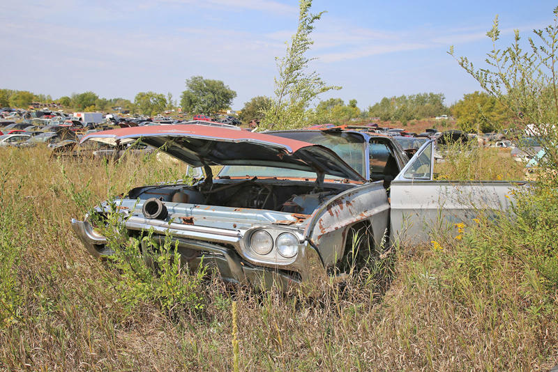 FORD THUNDERBIRD - 1963 MERCURY CUSTOM - 1953, ALFA ROMEO GIULIETTA SPIDER, RENAULT ALLIANCE CONVERTIBLE, PONTIAC - 1934, TOYOTA COROLLA - SR5, OLDSMOBILE VISTA CRUISER - 1974, CHEVROLET SEDAN DELIVERY, OLDSMOBILE 88 - 1956, MORRIS MINOR, CHEVROLET BEL AIR - 1959, PLYMOUTH SPECIAL DELUXE - 1949, CHEVROLET EL CAMINO - 1975, PONTIAC BONNEVILLE CONVERTIBLE - 1964, PONTIAC CATALINA - 1968, CHEVROLET - 1964, DODGE WAYFARER - 1950, BUICK RIVIERA, CADILLAC ELDORADO - 1977, FORD THUNDERBIRD - 1996, CHEVROLET MASTER DELUXE - 1939, CHEVROLET 210 - 1956, DODGE - 1937, AMGENERAL JEEP DJ - 1975, BUICK SPECIAL - 1939, CHEVROLET VEGA KAMMBACK, FORD - 1956, DODGE RV - 1974, FORD GALAXIE - 1957, CHEVROLET IMPALA - 1961, NASH AMBASSADOR - 1939, FORD COURIER - 1955, CHRYSLER NEWPORT - 1966, FORD THUNDERBIRD - 1963, CHEVROLET CORVETTE - C4, FORD GALAXIE 500 - 1973, CHRYSLER WINDSOR - 1959, INTERNATIONAL SCOUT, FORD GALAXIE - 1959, OLDSMOBILE 88 - 1968, CHRYSLER LEBARON - 1979, THE YARD