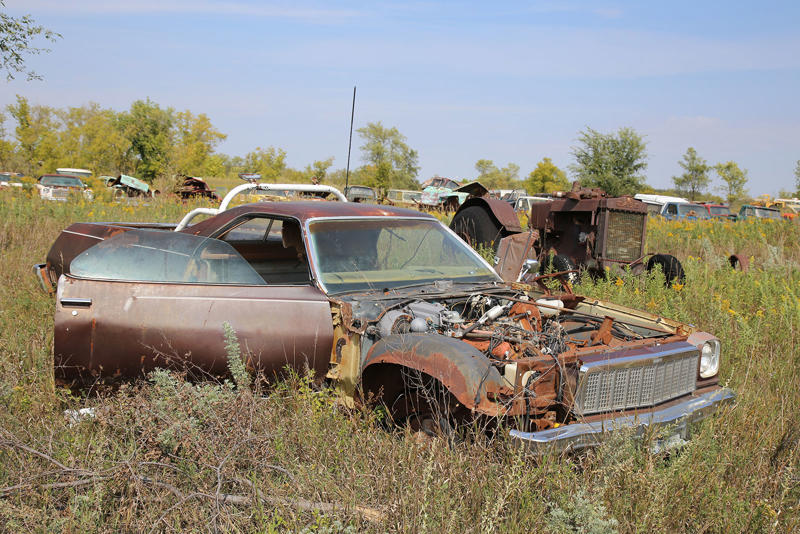 MERCURY CUSTOM - 1953, ALFA ROMEO GIULIETTA SPIDER, RENAULT ALLIANCE CONVERTIBLE, PONTIAC - 1934, TOYOTA COROLLA - SR5, OLDSMOBILE VISTA CRUISER - 1974, CHEVROLET SEDAN DELIVERY, OLDSMOBILE 88 - 1956, MORRIS MINOR, CHEVROLET BEL AIR - 1959, PLYMOUTH SPECIAL DELUXE - 1949, CHEVROLET EL CAMINO - 1975, PONTIAC BONNEVILLE CONVERTIBLE - 1964, PONTIAC CATALINA - 1968, CHEVROLET - 1964, DODGE WAYFARER - 1950, BUICK RIVIERA, CADILLAC ELDORADO - 1977, FORD THUNDERBIRD - 1996, CHEVROLET MASTER DELUXE - 1939, CHEVROLET 210 - 1956, DODGE - 1937, AMGENERAL JEEP DJ - 1975, BUICK SPECIAL - 1939, CHEVROLET VEGA KAMMBACK, FORD - 1956, DODGE RV - 1974, FORD GALAXIE - 1957, CHEVROLET IMPALA - 1961, NASH AMBASSADOR - 1939, FORD COURIER - 1955, CHRYSLER NEWPORT - 1966, FORD THUNDERBIRD - 1963, CHEVROLET CORVETTE - C4, FORD GALAXIE 500 - 1973, CHRYSLER WINDSOR - 1959, INTERNATIONAL SCOUT, FORD GALAXIE - 1959, OLDSMOBILE 88 - 1968, CHRYSLER LEBARON - 1979, THE YARD