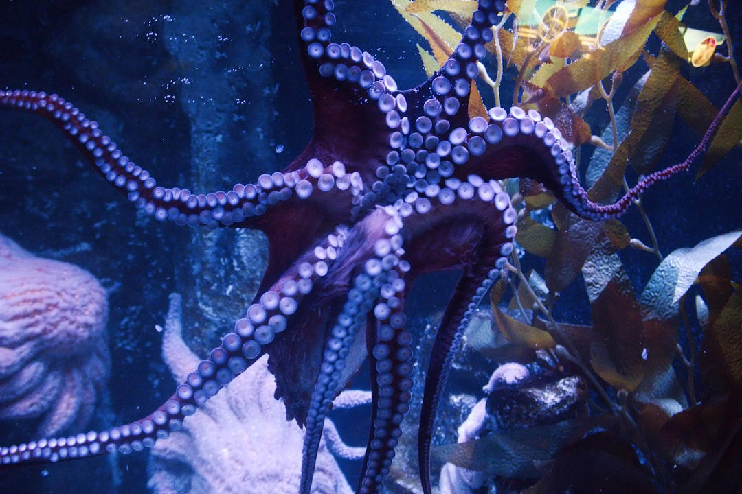 Octopus - The Shape-Shifting Sea Wizard The Komodo Dragon - The Real Fire-Breathing Monster, Giant Squid - The Kraken's Terrifying Reality, Snow Leopard - The Majestic Griffin's Feline Half, Vampire Bat - The Original Bloodsucker, Octopus - The Shape-Shifting Sea Wizard, Anglerfish - The Deep-Sea Demon, Pangolin - The Dragon's Armored Cousin, Mantis Shrimp - The Underwater Warrior, Gharial - The Ancient River Dragon, Thorny Devil - The Miniature Desert Dragon, Fossa - The Mysterious Forest Phantom, Leafy Sea Dragon - The Ocean's Living Artwork, Axolotl - The Smiling Salamander of Legend, Binturong - The Bear-Cat of Ancient Tales, Shoebill Stork - The Living Dinosaur, Quetzal - The Rainbow Feathered Serpent, Aye-Aye - The Finger-Pointing Forest Ghost, Platypus - The Impossible Creature, Goblin Shark - The Living Fossil, Star-Nosed Mole - The Alien Underground
