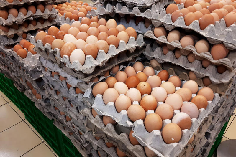 An eggs-periment, Launching eggs, Applying pressure, A surprising discovery, A stronger equator, Challenging assumptions, Packaging, Science experiments, Applications