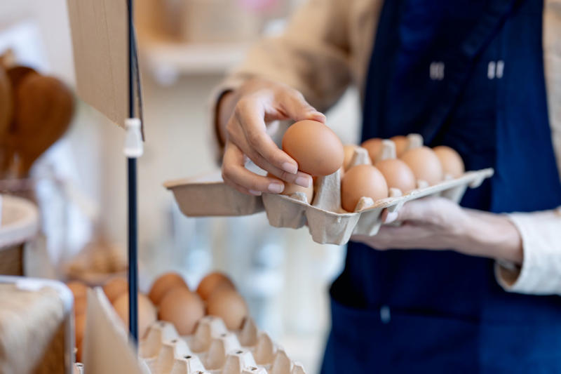 An eggs-periment, Launching eggs, Applying pressure, A surprising discovery, A stronger equator, Challenging assumptions, Packaging, Science experiments, Applications
