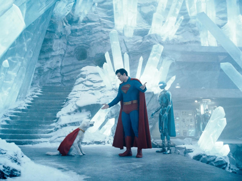 An Immigrant Story, The New Man of Steel, Dynamic Duos, An Overstuffed Ensemble, Action Aplenty, Final Verdict