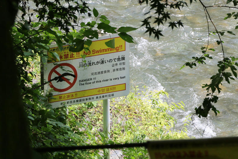 ■「遊泳禁止」の場所なのに, ■一気に流れが速くなる, ■バーベキュー目的でやってくる9割が外国人, ■多摩川は全国で3番目に事故が多い, ■「飛び込みキケン！」崖の上から続々ダイブ, ■母親は「子どもはダメ。死んじゃう」, ■ライフジャケットつけても水面下に, ■「浮いて待て」は通用しない, ■ライフジャケットを川遊びの基本装備に