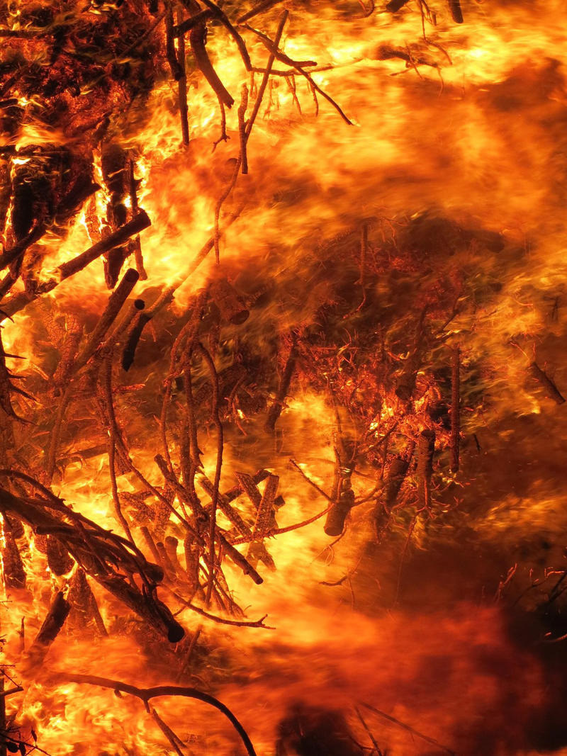 Lawmakers Protest Canadian Wildfire Smoke, Who Signed the Letter, Demands and Concerns Raised, Canada Responds to the Complaint, Wildfires and Climate Challenges, Get more from ClimateCosmos!