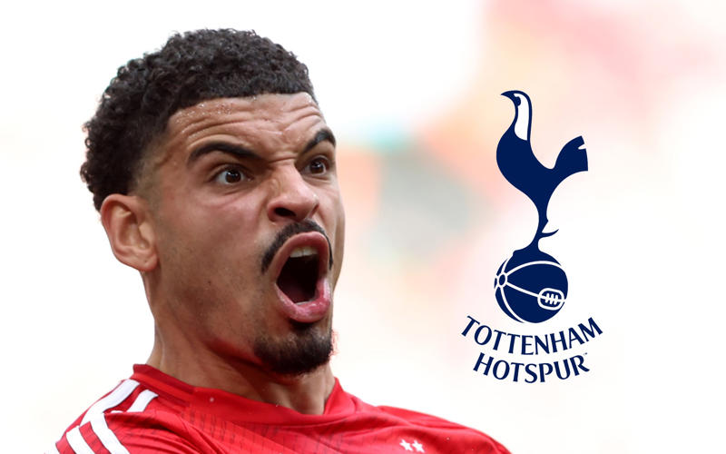 Latest transfer news headlines, Gyokeres update, Arsenal set to commence Nwaneri contract talks, DONE DEAL, Mosquera to Arsenal, Garnacho rejects Al Nassr move, West Ham target Liverpool duo, Spurs eye Esteve, Arsenal 'completing' Gyokeres move, Battle for Palhinha, Petrovic set for Bournemouth medical, Sunderland eye Ramsdale, Kiwior no longer part of Arteta's plans, Ferguson 'chooses' Roma, Bizot set for Villa, Arsenal set to commence Nwaneri contract talks, West Ham close in on new signing, Arsenal 'setback' in Gyokeres pursuit, Arsenal to Madueke update, Man Utd braced for Barca approach for Rashford, Spurs hope over Gibbs-White, Arsenal target Gyokeres as part of TRIPLE deal, Fenerbahce rule out move for Spurs midfielder, Garnacho rejects Al Nassr move, Totteham latest on Gibbs-White, Benfica target cut-price Joao Felix deal, Chelsea set Nkunku price, PSG want Fulham ‘crown jewel’, Carroll in shock Dagenham and Redbridge move, Arsenal and Chelsea move for Barcelona midfielder, Man Utd eye shock move for Chelsea star, Arsenal work on fresh Gyokeres deal, Konate rejects new Liverpool deal, What next for Gyokeres?, Gibbs-White absent from Forest friendly, DONE DEAL, Sporting issue Gyokeres statement, Kudus explains Spurs decision, Elanga excited after completing Newcastle transfer, Gyokeres update, Henderson to join Brentford, Zubimendi straight down to business, Mosquera returns to training, Wissa bid rejected, Spurs remain interested, Rodrygo asking price, Gittens shirt number theory, Nwaneri contract latest, DONE DEAL, Eze absence explained, Man Utd could hijack Galatasaray's Osimhen talks, Tottenham still hopeful over Gibbs-White deal, Newcastle prepare opening Gallagher bid, Mbeumo expected to join Man Utd next week, Grealish declares love for Man City, Bissouma tells Tottenham he wants to stay, Real Madrid weigh up huge bid for Liverpool star, Madueke lands back in England ahead of Arsenal medical, Chelsea offered hope over Donnarumma deal, Douglas Luiz wants Tottenham move as West Ham lodge loan bid, Man City join race for £34m-rated Wesley, Spurs expect Romero to stay this summer, Jackson is not untouchable at Chelsea, Juve agree fee for Sancho, Man Utd in talks over double midfielder deal, Tottenham still hopeful over Gibbs-White, Arsenal to make Eze bid, Madueke set for Arsenal medical, Gyokeres to Arsenal deal 'absolutely on', Maresca confirms Madueke deal, Arsenal eye Eze alternative, Newcastle sign Elanga, Gyokeres due back at Sporting, Real sell one more, Real considering huge bid for Liverpool star, Petrovic deal agreed, Woltemade offer knocked back, Liverpool considering Gordon, Bayern make Diaz offer, Liverpool to open Ekitike talks, Benfica want 50% of Felix, Antony nearing Man Utd exit, Bissouma to Fener?, United ready to gazump Gala, Jackson not untouchable, Propper set for Twente return, Rohl set for stunning Sheff Wednesday comeback, Aubameyang in line for Marseille return, Rodrygo to Arsenal update, Munoz 'open' to Crystal Palace exit, Madueke medical, Chelsea in advanced talks for £25m deal