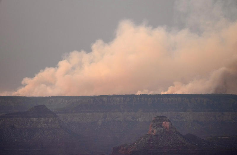 Why did park officials allow the Dragon Bravo Fire to continue burning?, How did the fire grow out of control?, Why are Hobbs, Gallego calling for an independent investigation?, What's been lost to the Dragon Bravo Fire?, What parts of the Grand Canyon are closed?, What other wildfires are burning in the area?, 'Just short on resources': Air traffic controller details North Rim fire fight
