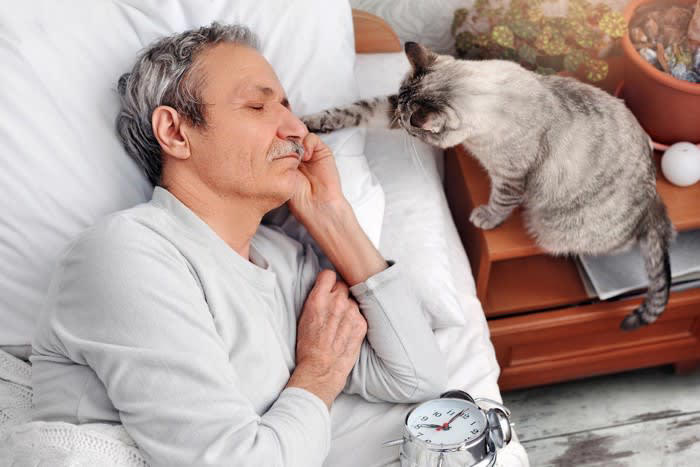 多くの飼い主から「うちの子は空気が読める」と思われている猫, 猫は空気を読むのか, 猫が空気を読んでいるように思えるシーン, 2.赤ん坊や病気の飼い主さんの見守り