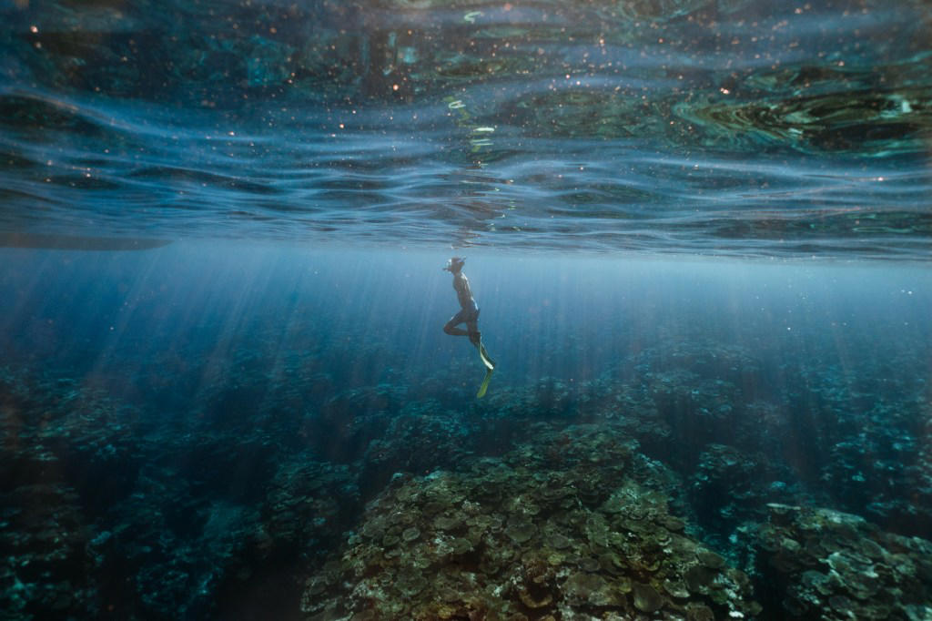 Can we live underwater? Why have we been sending people underwater?, Can we live underwater?, Who has lived underwater?, Who is heading down there?