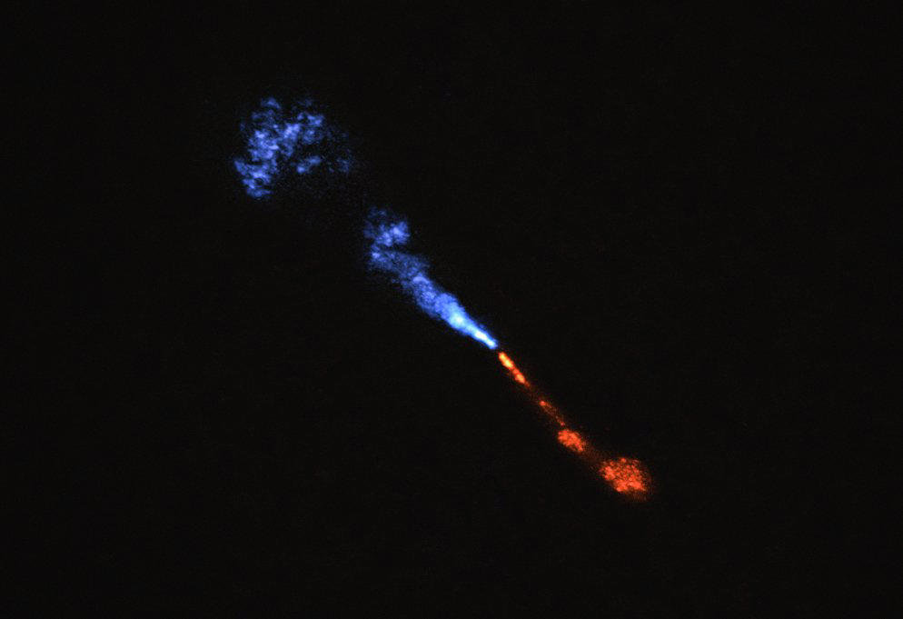 Astronomers just witnessed the birth of a new solar system