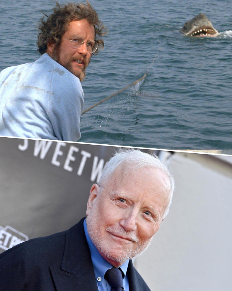 Roy Scheider (Sheriff Brody), Lorraine Gary (Ellen Brody), Richard Dreyfuss (Matt Hooper), Robert Shaw (Captain Quint), Murray Hamilton (Mayor Larry Vaughn), Susan Backlinie (Chrissie Watkins), Lee Fierro (Mrs. Kintner), Jeffrey Voorhees (Alex Kintner)